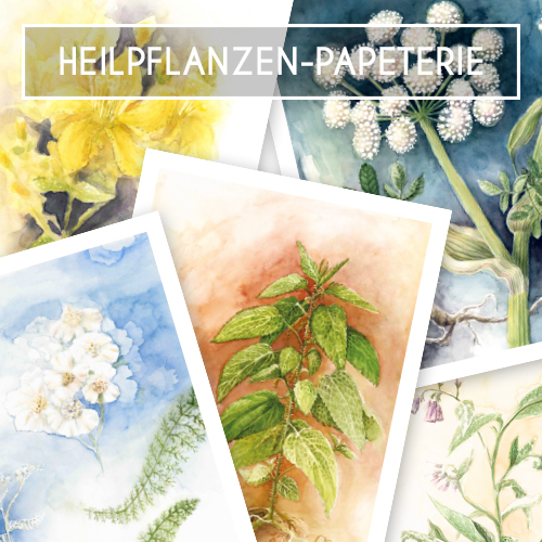 heilpflanzenpapeterie2-quadrat_500px1.jpg