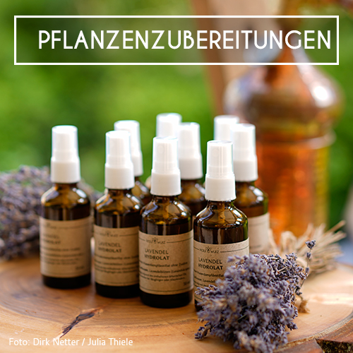 pflanzenzubereitungen-quadrat_500px.jpg