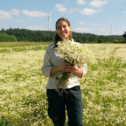 annika-kamillen.jpg