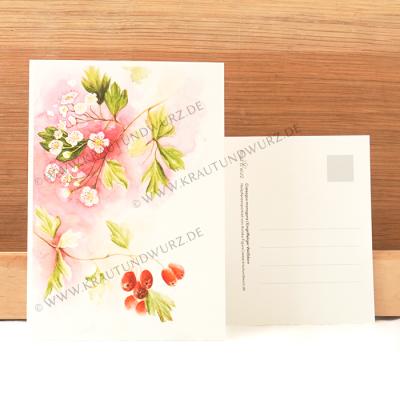 Postkarte - Eingriffeliger Weißdorn
