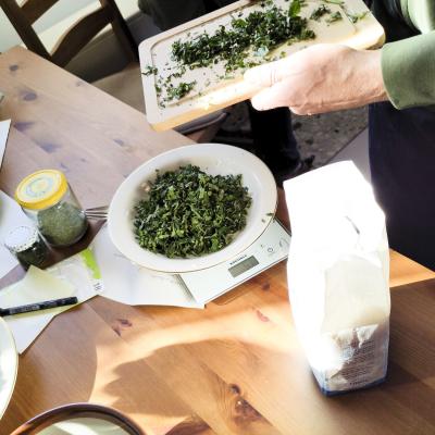 Die frisch geernteten Kräuter...