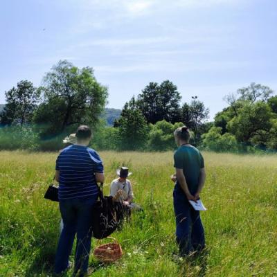 Wildkräuterspaziergang