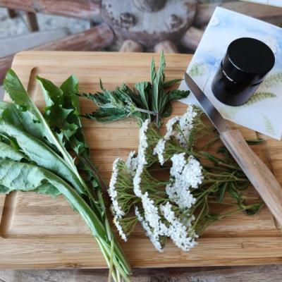 Frisch gesammelte Zutaten...